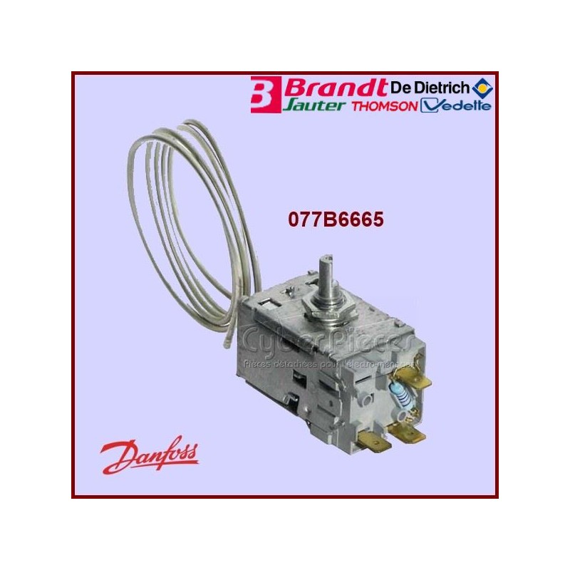 Thermostat 43X0879 077B6665 Thermostat 43X0879 077B6665
