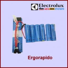 Kit Complet Batterie Pour Ergorapido 4055132304 CYB-072229