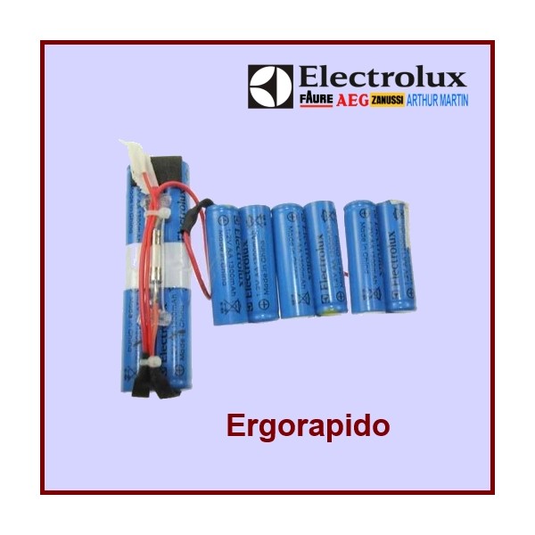 Kit Complet Batterie Pour Ergorapido 4055132304 CYB-072229