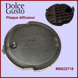 Plaque Percuteur + Joint MS-622718 CYB-109413