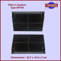 Filtre à charbon Type EFF55 - MCFE16 CYB-315784