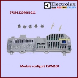 Carte Electronique configuré Electrolux 973913204061011 CYB-123518