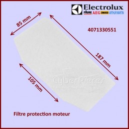 Filtre moteur Aspirateur Electrolux 9001966069 CYB-072359