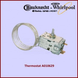 Thermostat A010629...