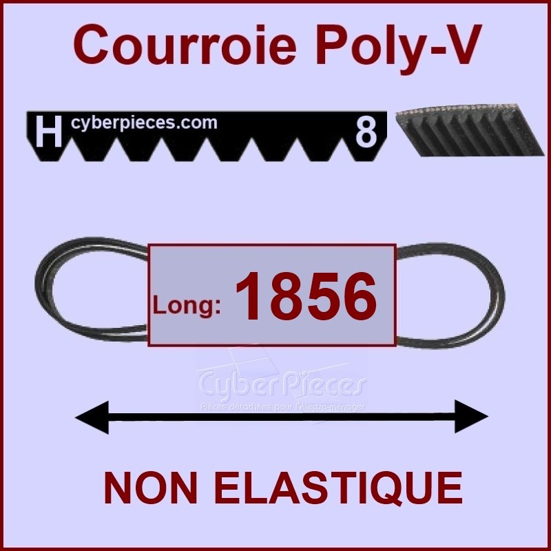 Courroie 1856H8 non élastique CYB-074070