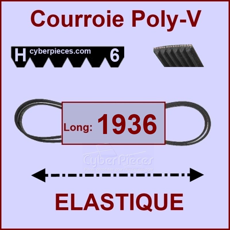 Courroie 1936H6 - EL - élastique CYB-003810