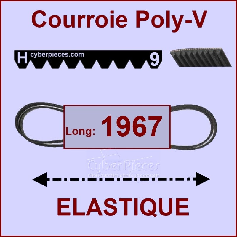 Courroie 1967H9 - EL - élastique CYB-005128