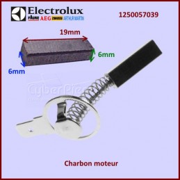 Lot de 2 Charbons de moteur Electrolux 1250057039 CYB-120463