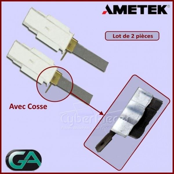 Charbon avec support AMETEK CYB-424028