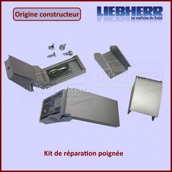 Kit de réparation poignée inox Liebherr 9590190 CYB-093620