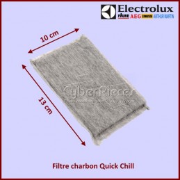 Filtre à charbon QUICK CHILL Electrolux 2081625036 CYB-131520