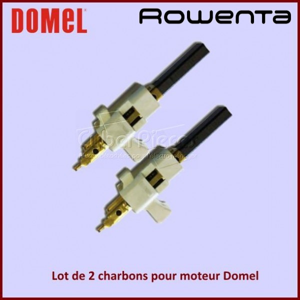 Jeu de 2 charbons pour moteur DOMEL CYB-307833