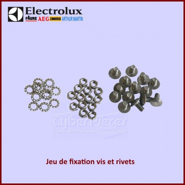 Jeu de fixation vis et rivets Palier Electrolux 53188955107 CYB-091374