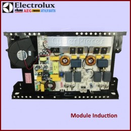 Carte électronique induction 3300362633 CYB-155656