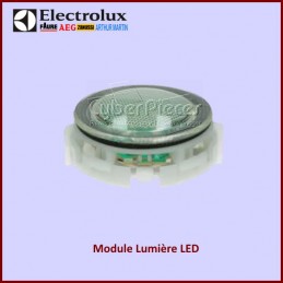 Module Lumière LED 140131434148 CYB-424035
