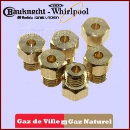 Kit d'injecteur gaz naturel 481000364761 CYB-186483