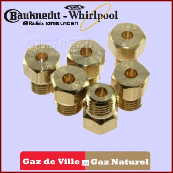 Kit d'injecteur gaz naturel 481000364761 CYB-186483