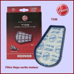 Filtre Hepa T106 sortie...