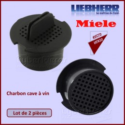 Filtre à charbon Liebherr 9096989 Réfrigérateur