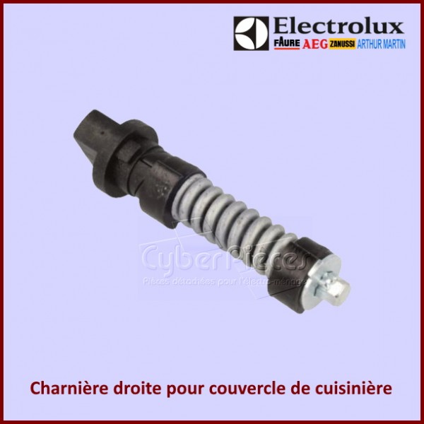 Charnière droite pour couvercle de cuisinière Electrolux 140036488017 CYB-155694