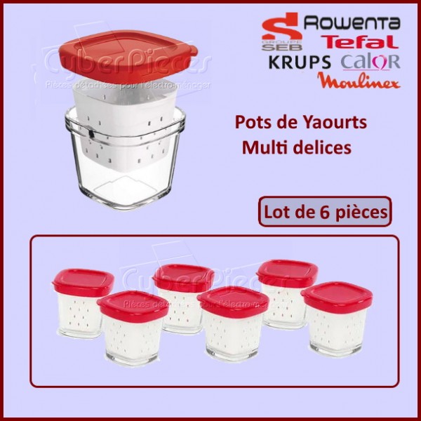 Lot de 6 Pots Yaourts Multi delices Seb XF100501