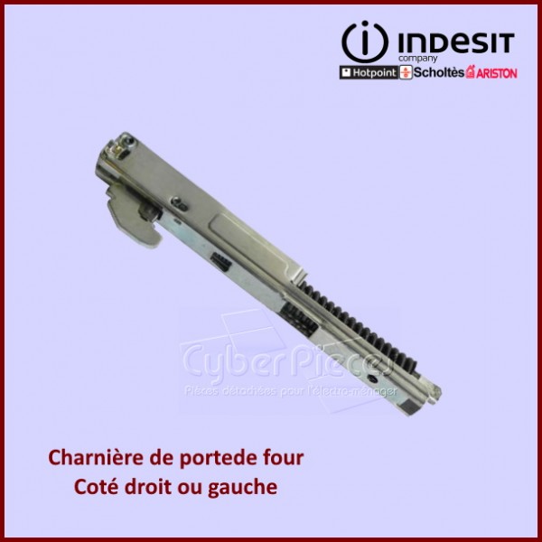 Charnière de porte Indesit C00091956 CYB-324496