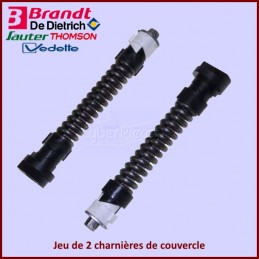 Jeu de 2 charnières de couvercle Brandt 74X5520 CYB-243292