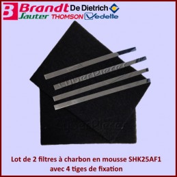 Lot de 2 filtres à charbon SHK25AF1 Brandt 74X4121 + fixation CYB-242851