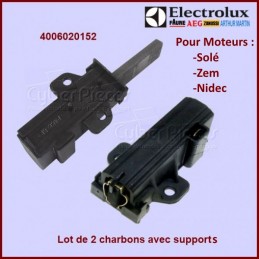 lot de 2 Charbons moteur avec support 36,5x13x5mm CYB-158268