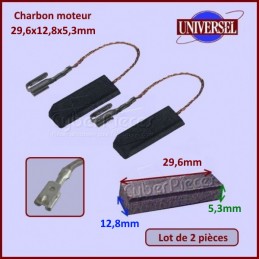 Charbon moteur 29,6x12,8x5,3mm CYB-008389