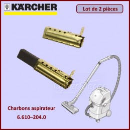 Lot de 2 charbons Karcher 66102040 CYB-376600