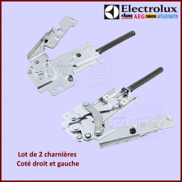 Lot de 2 charnières Electrolux 4055076535 CYB-137638