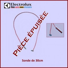 Sonde de 30 cm pour Kit...