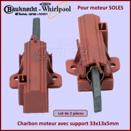 Charbon moteur avec support 33x13x5mm CYB-200523