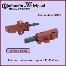 Charbon moteur avec support 33x13x5mm CYB-200523