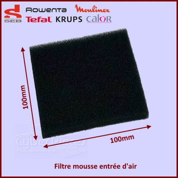 Filtre mousse entrée d'air Rowenta RS-RS8864