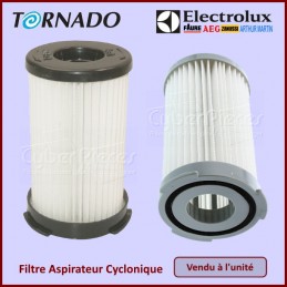Filtre Hepa H10 Cylindrique Electrolux 9001959494 CYB-063425