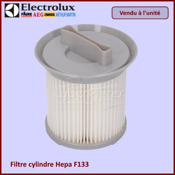 Filtre Cheminée F133 Electrolux 9002567734 CYB-100786