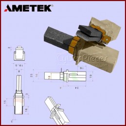 lot-de-2-charbons-karcher-66102040