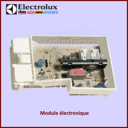 Module électronique Electrolux 1249283126 CYB-120302