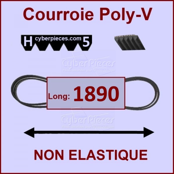 Courroie 1890H5 non élastique CYB-318464