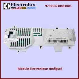 Carte électronique Electrolux 973913210481005 ***Pièce épuisée*** CYB-184274
