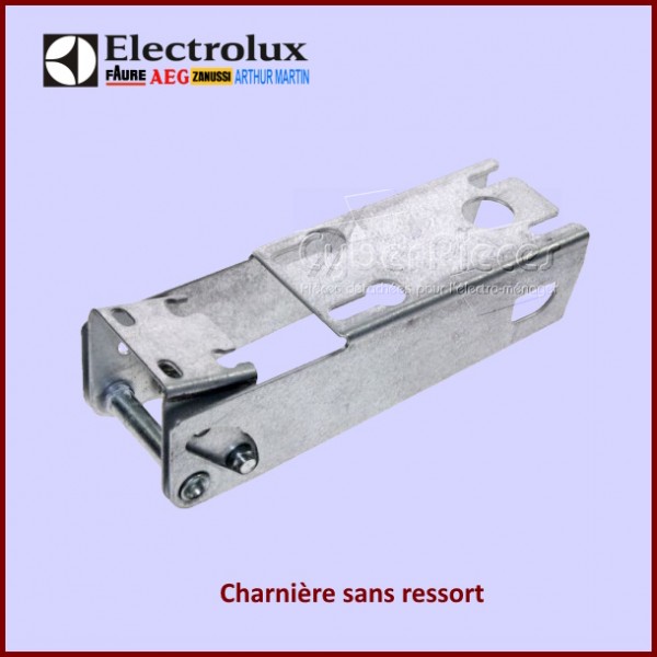 Charnière sans ressort Electrolux 2912884364 CYB-141345