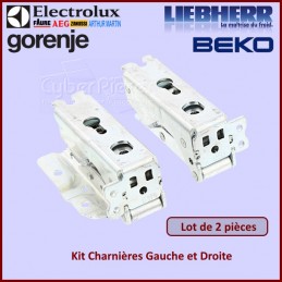 Kit Charnières Gauche et Droite Electrolux 4055504197 CYB-135085
