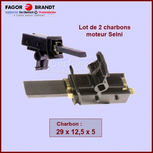 Charbons moteur (SELNI) avec support 28x12,5x5mm