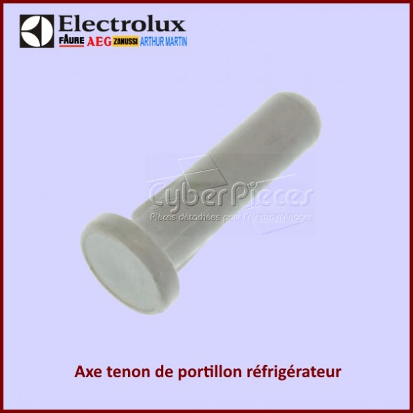 Axe de portillon Electrolux 2006431007 CYB-129985