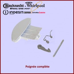 Poignée complète Indesit C00116582 CYB-331562