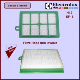 Filtre Hepa H12 - Electrolux 9001954123 CYB-252614