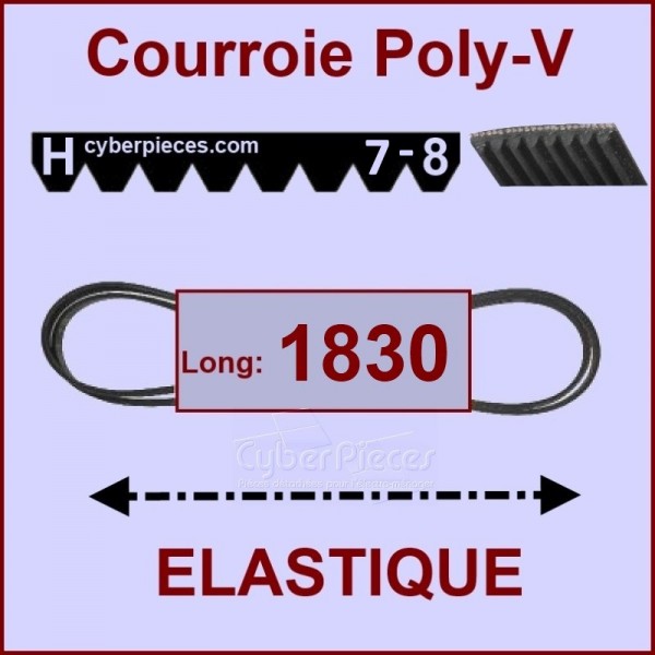 Courroie 1830H8 - EL - élastique CYB-004015