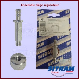 Ensemble siège régulateur Sitram 3108831024688 CYB-254779